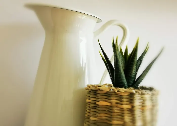 Apartamento Lido Beachfront *