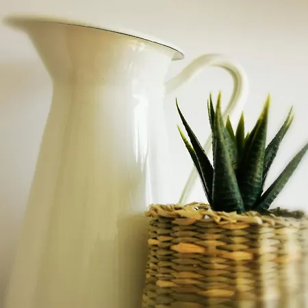 Апартаменты Lido Beachfront *